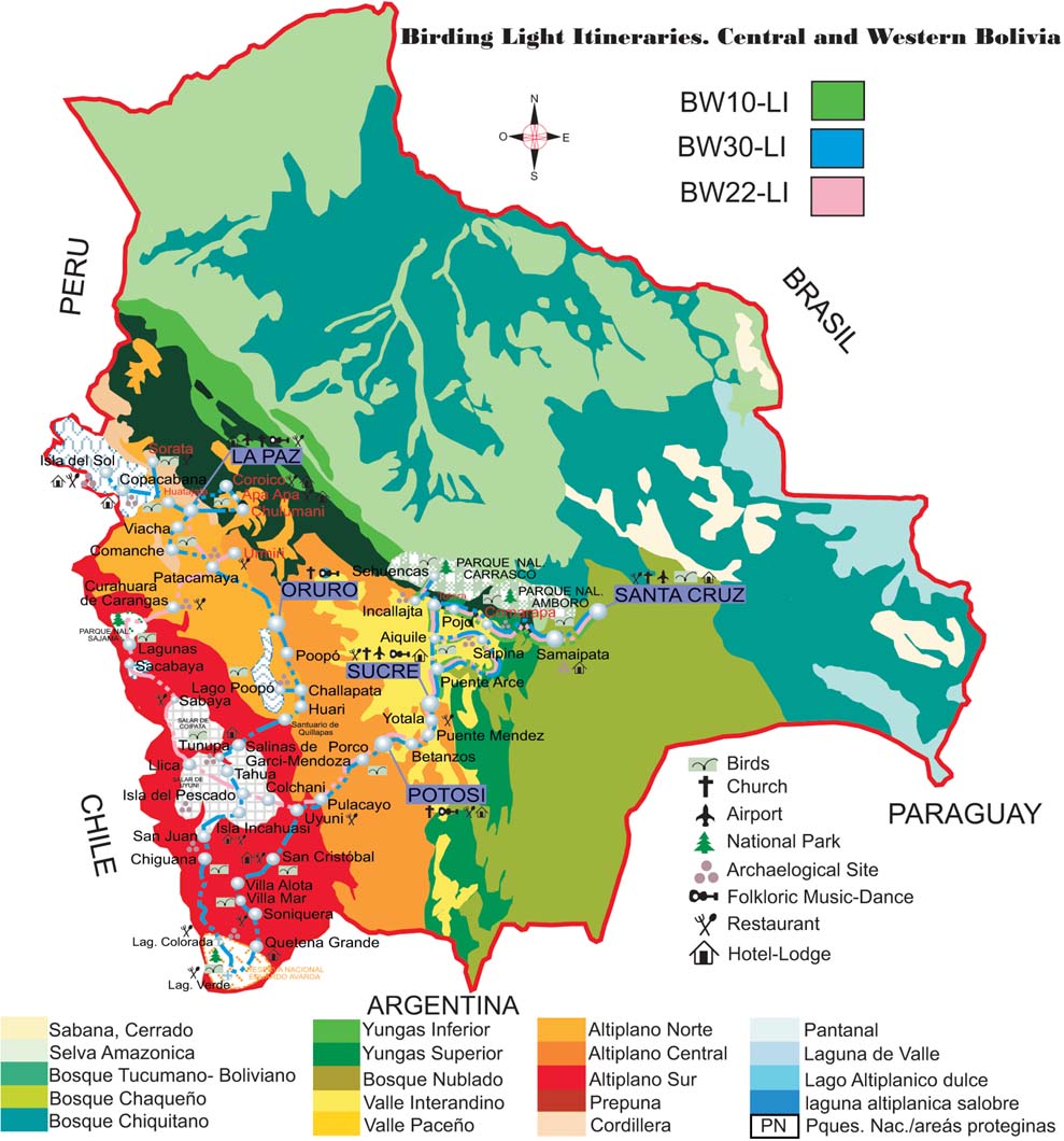 Birding Light Itineraries. Central and Western Bolivia