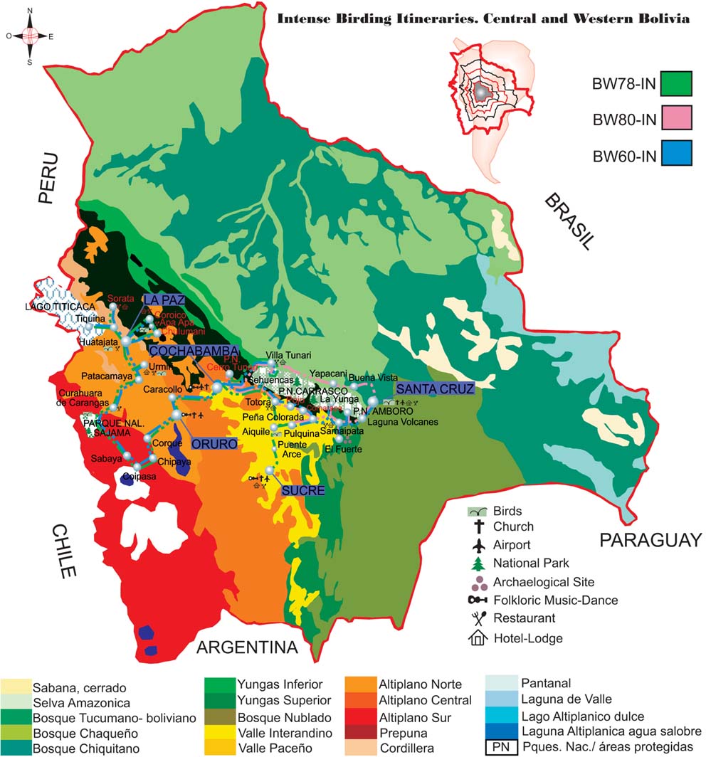 Intense Birding Itineraries. Central and Western Bolivia